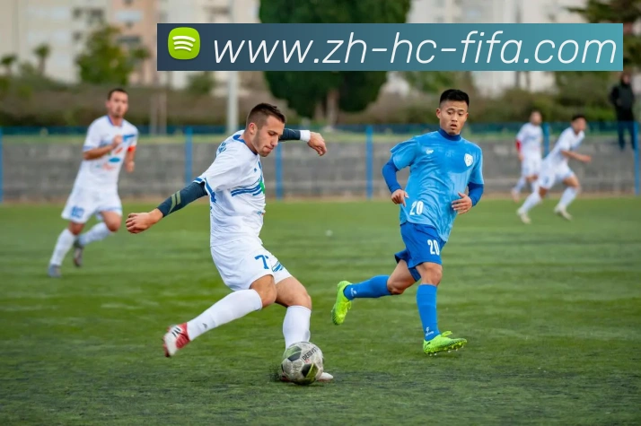 多媒体互动体验